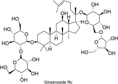 Shenfu injection: a review of pharmacological effects on cardiovascular diseases